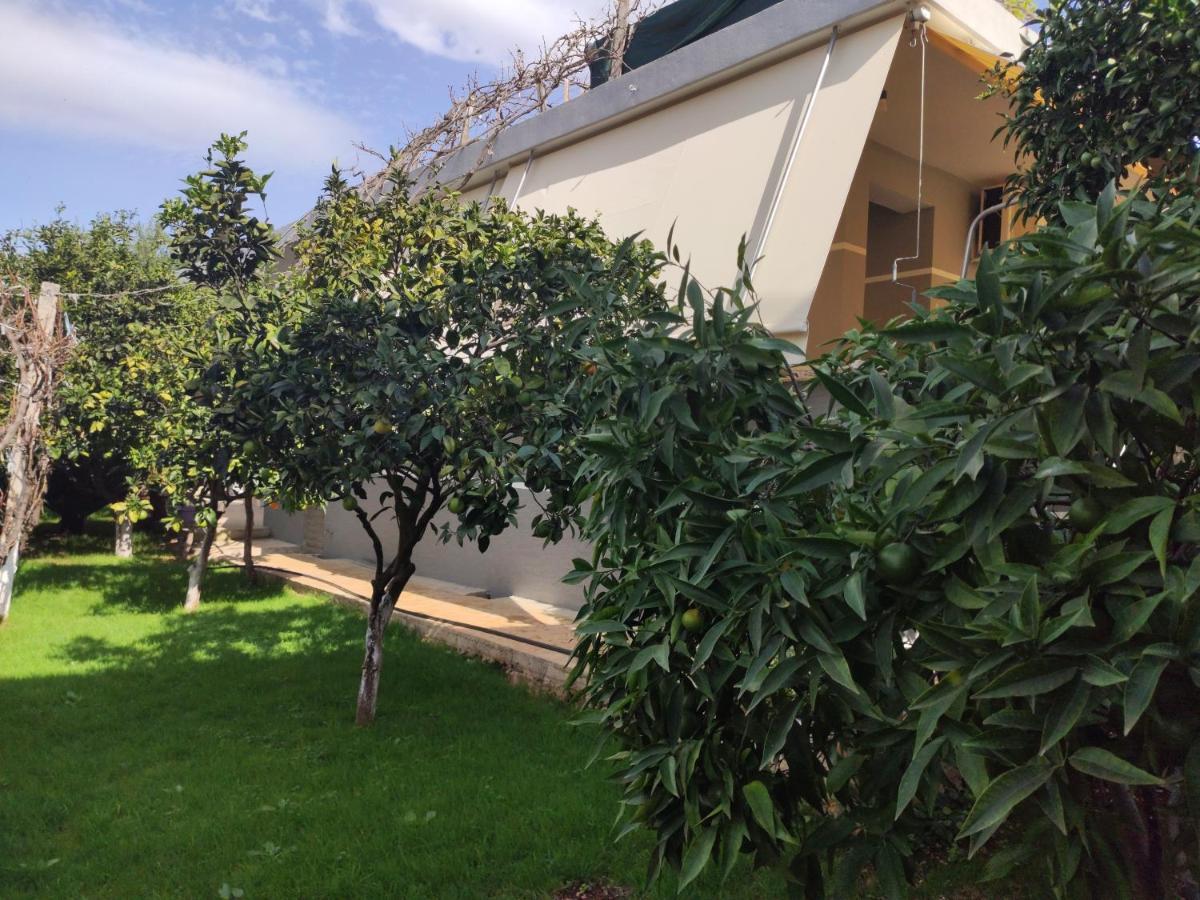 Dema Apartament *